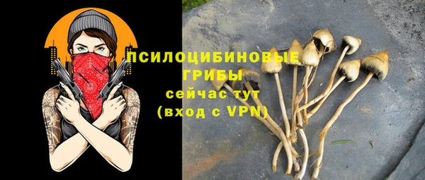 герыч Пестово