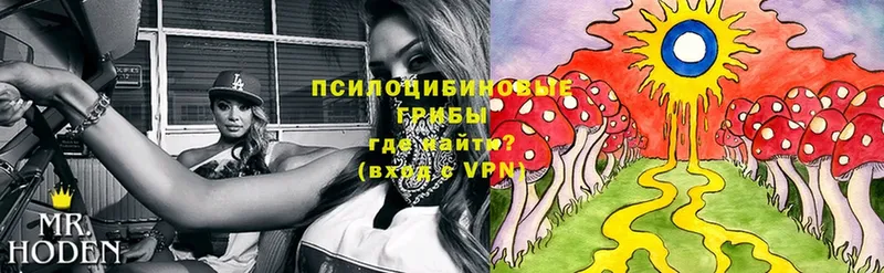 закладки  Нариманов  Галлюциногенные грибы MAGIC MUSHROOMS 