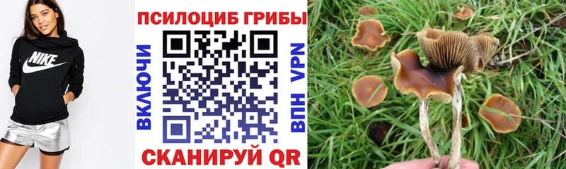 Псилоцибиновые грибы MAGIC MUSHROOMS  kraken tor  Нариманов  купить  